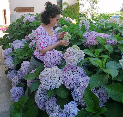 Bloom Estate bloom estate