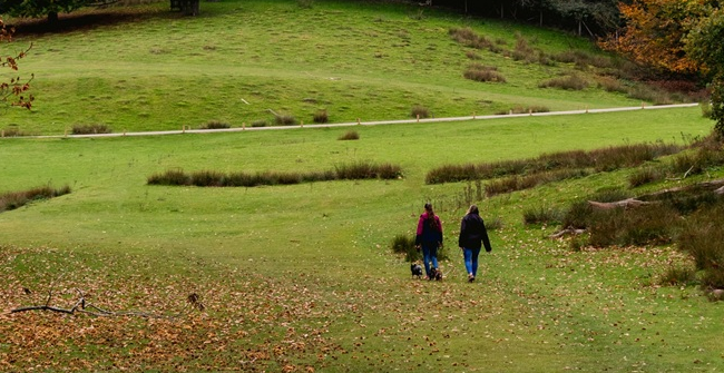 Camminare-dentro- camminare-dentro-