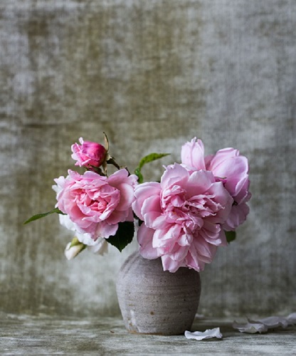 Fabiana Pozzi E I Fiori Di Bach Non Funzionano fabiana pozzi e i fiori di bach non funzionano