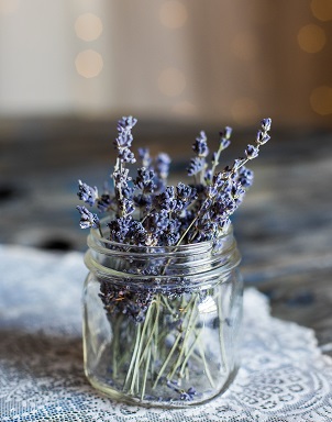 lavanda fabiana pozzi