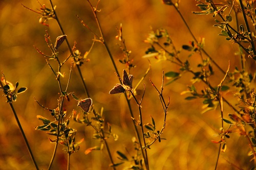 Leggerezza Ok leggerezza ok