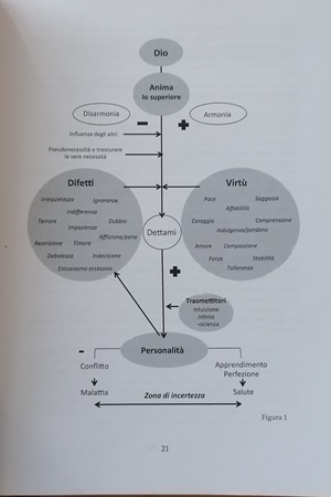 processo fiori di bach - fabiana pozzi