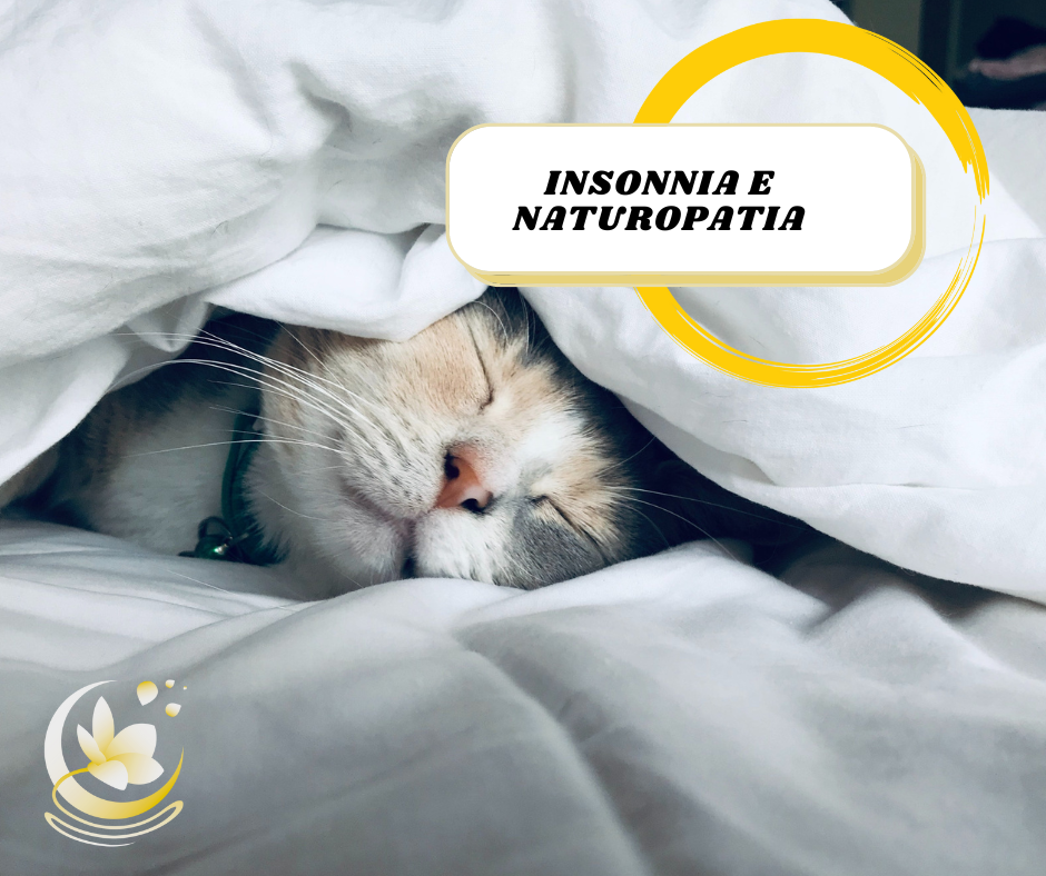 L'insonnia, qualunque sia la sua causa, può diventare fonte di malessere e di grande stress. La naturopatia ti offre una serie di strumenti naturali utili per ritrovare il tuo equilibrio come acquisire sane abitudini di sonno con la naturopatia