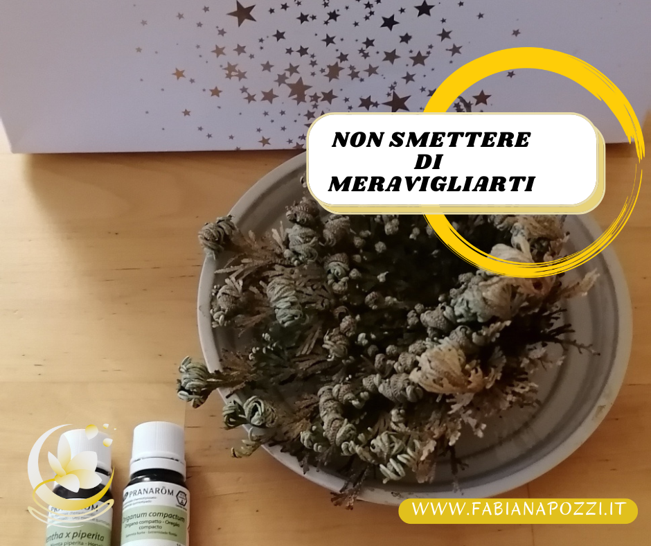 La meraviglia è ciò che ci permette di sentire Leggerezza in ogni momento, qualsiasi sia la situazione che stiamo vivendo. E' connessa alla curiosità, all'atteggiamento del bambino che con naturalezza osserva tutto come se fosse la prima volta e si lascia come meravigliarti ogni giorno 3 strumenti