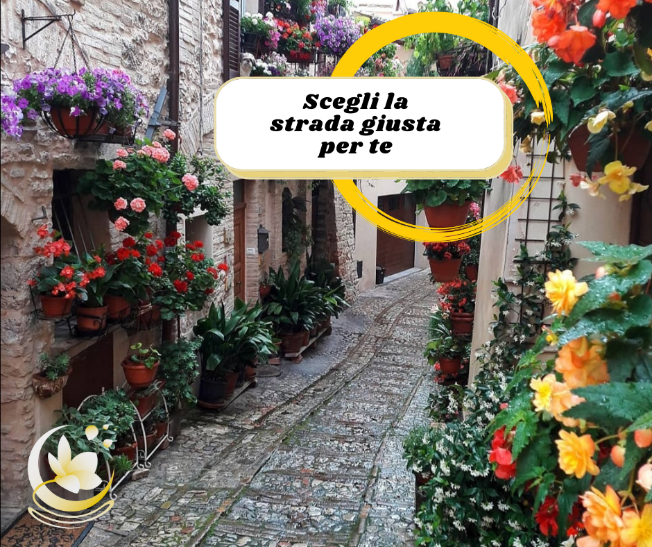 Se da tempo stai cercando di trovare la strada giusta per te, a livello personale o professionale, in questo articolo puoi trovare alcuni suggerimenti relativi alla mia esperienza che possono darti spunti utili. come scegliere la strada giusta per te