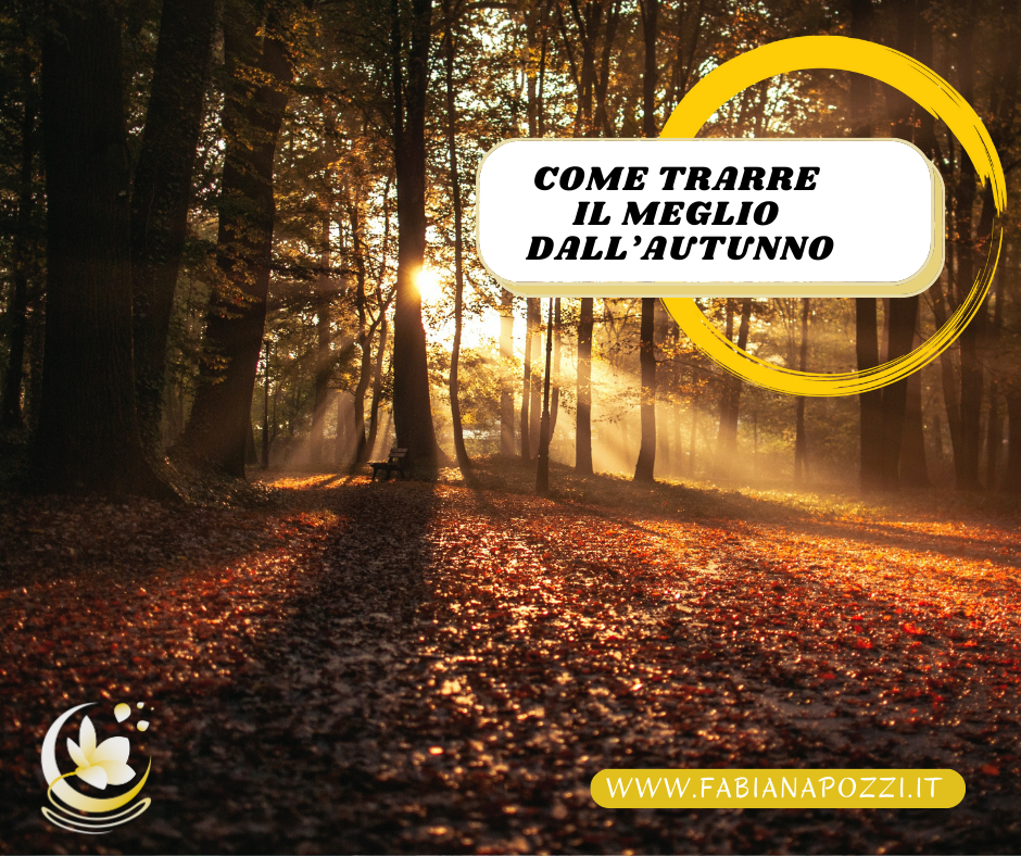 La stagione dell'autunno può diventare una preziosa alleata lavorando su alcuni aspetti importanti come l'alimentazione o il lasciare andare come trarre il meglio dall autunno