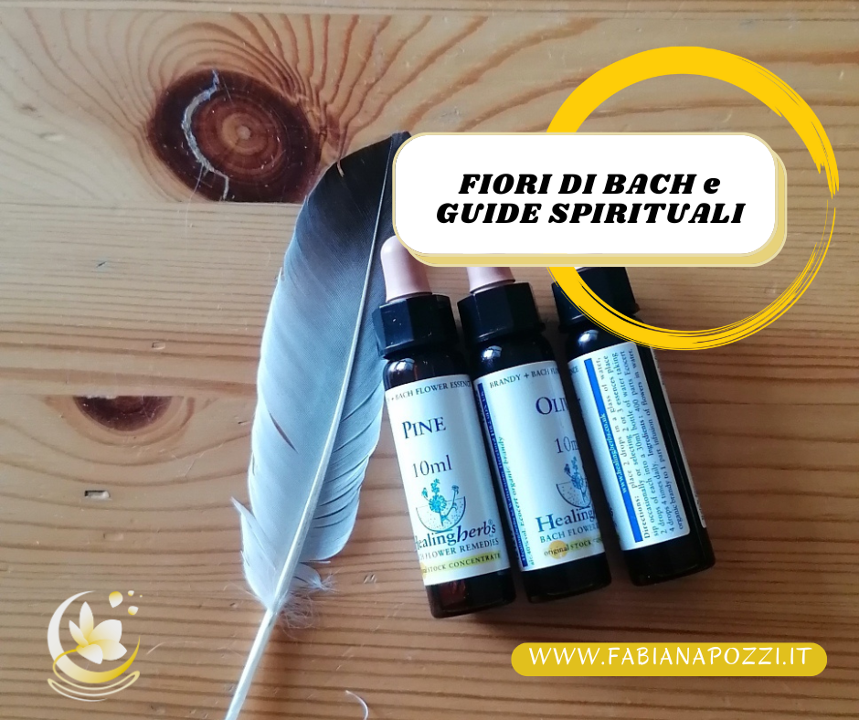 " La spiritualità è riconoscere la luce divina che è dentro di noi. Essa non appartiene a nessuna religione in particolare, ma appartiene a tutti." Muhammad Ali 
Lascia che i Fiori di Bach ti accompagnino gentilmente lungo il tuo cammino spirituale fiori di bach e crescita spirituale - i messaggi dalle tue guide