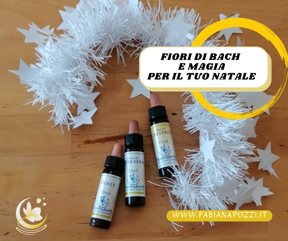 I Fiori di Bach sono rimedi naturali che ti aiutano a generare armonia anche durante le tue feste natalizie. Scopri come. i fiori di bach e la magia per il tuo natale