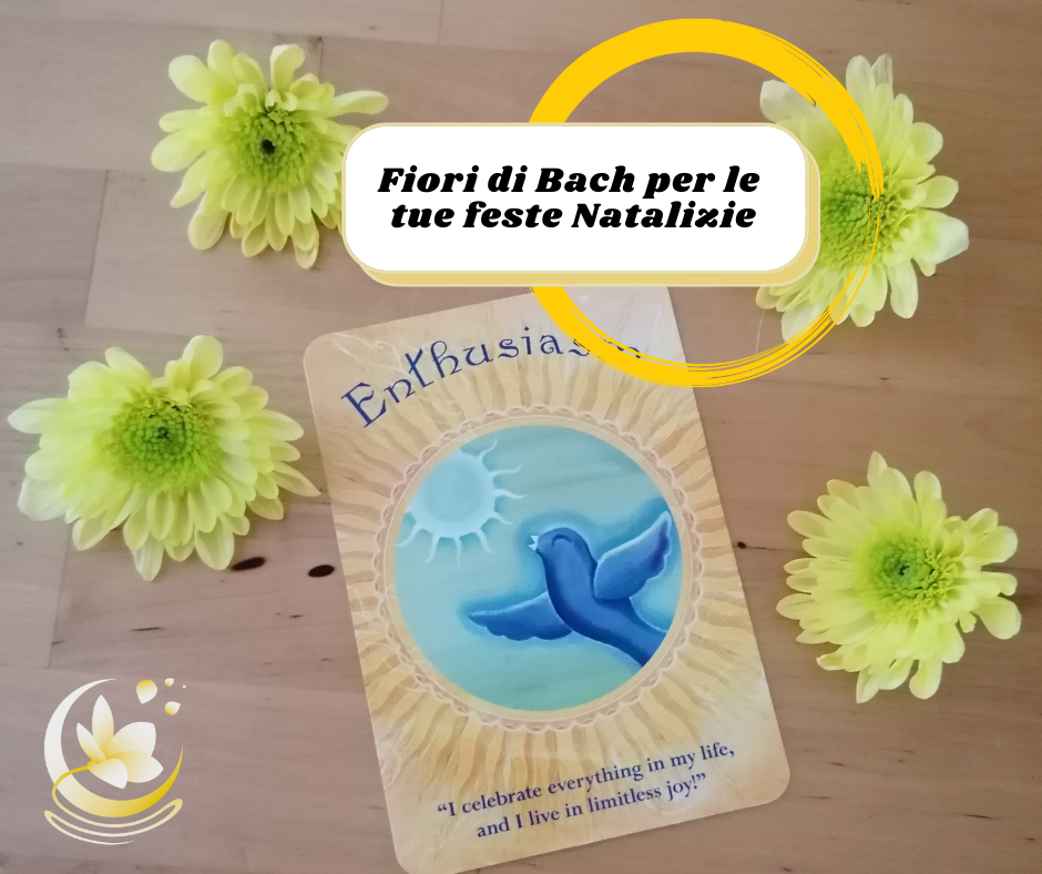 I Fiori di Bach sono rimedi naturali perfetti per armonizzare la tua energia o l'energia degli ambienti in cui ti trovi. Scopri quelli da usare al meglio durante le tue feste natalizie. i fiori di bach per le tue feste natalizie
