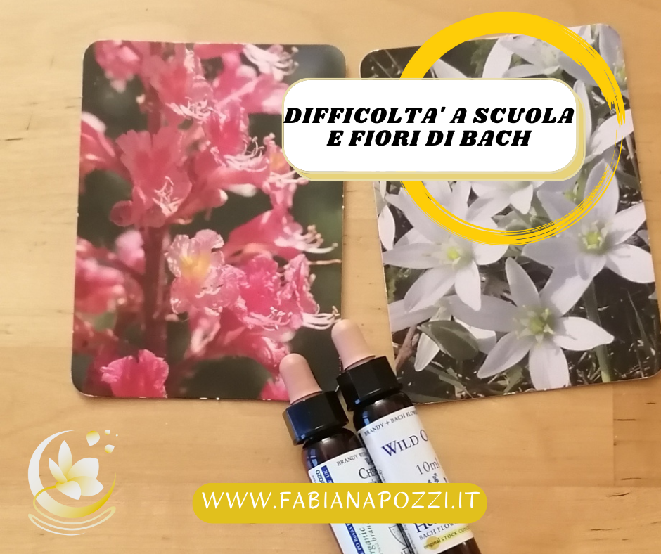 I FIORI DI BACH RISOLVONO LE DIFFICOLTA' A SCUOLA i fiori di bach risolvono le difficolta a scuola
