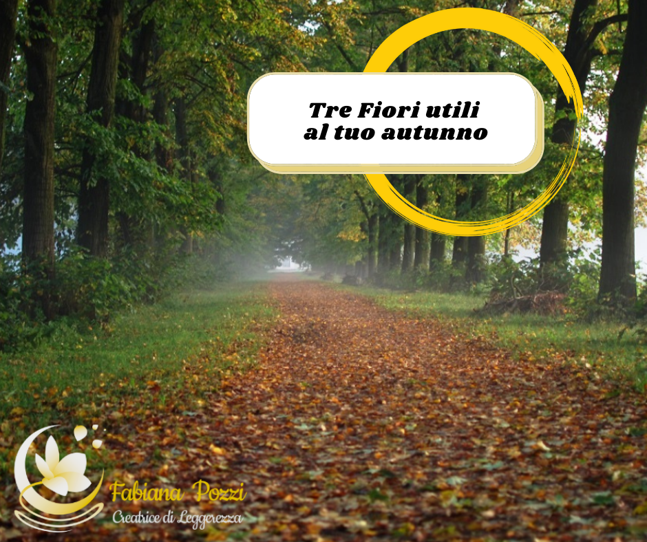 INIZIA L'AUTUNNO CON IL SUPPORTO DI QUESTI 3 FIORI DI BACH inizia l autunno con il supporto di questi 3 fiori di bach