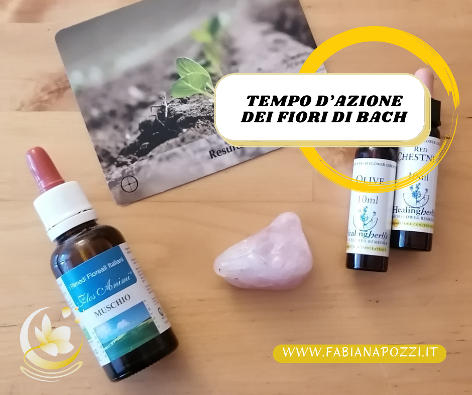 I Fiori di Bach sono rimedi naturali in grado di aiutarci a vivere al meglio le nostre emozioni. Dopo quanto tempo agiscono dando risultati concreti? qual e il tempo d azione dei fiori di bach