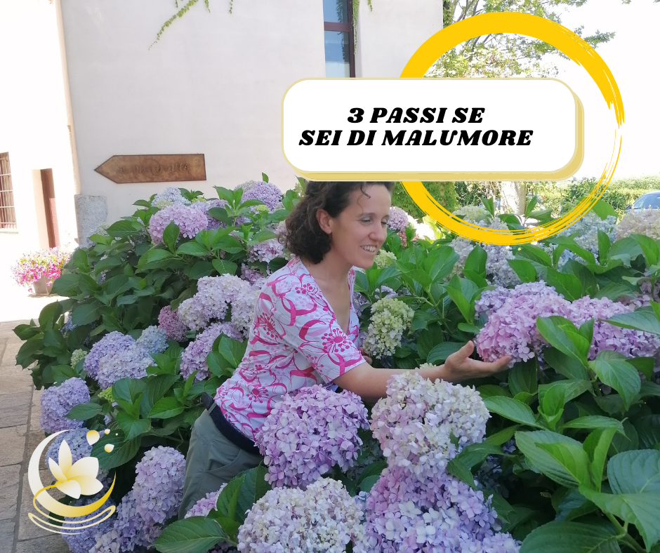 Quando sei di malumore rischi di trascinarti l'intera giornata e di non concludere nulla o, peggio, di peggiorare le cose.
In questo articolo vediamo insieme 3 passi che puoi compiere per affrontare al meglio il momento. tre cose da fare se sei di malumore