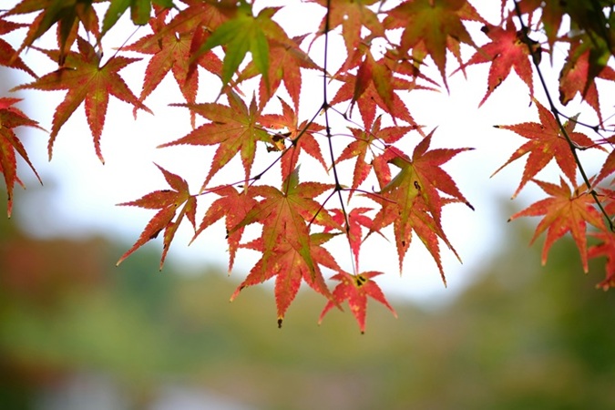 cambiamenti-inaspettati-fabiana-pozzi