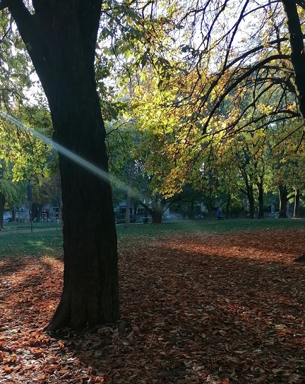 breathe - ascolta e raccogli