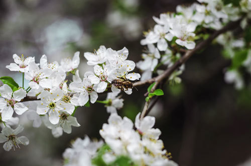 percorso di counseling