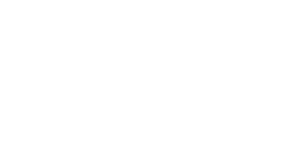 Pozzi-logo-bianco pozzi-logo-bianco
